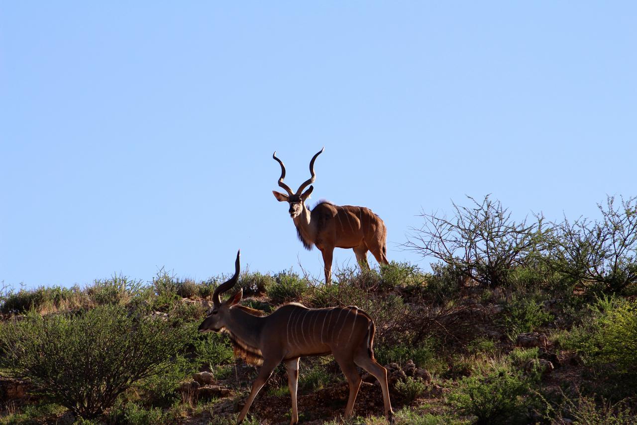 Kgalagadi Lodge Askham Экстерьер фото